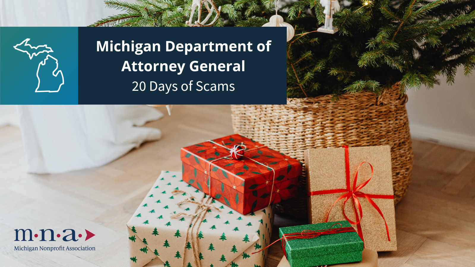 20 Days of Scams