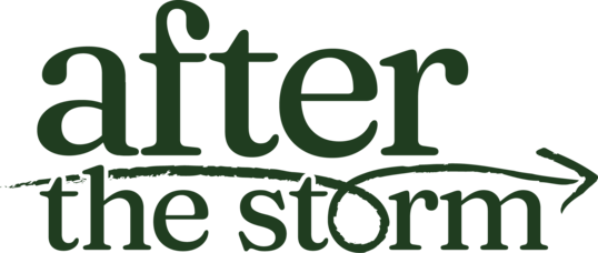 After the Storm logo
