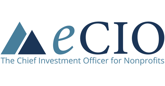 eCIO logo